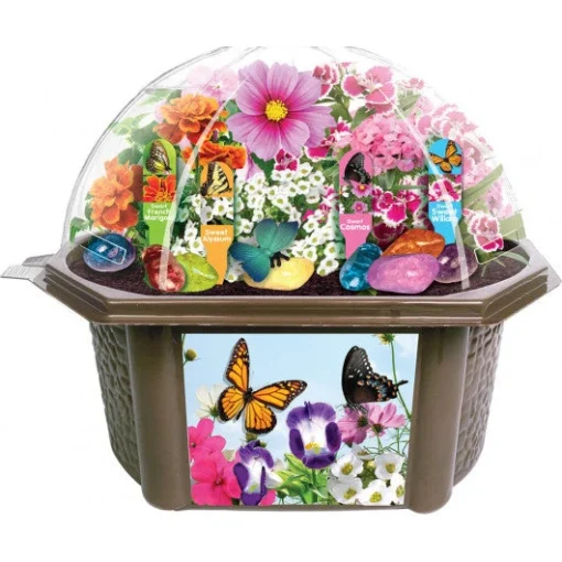 Bountiful Butterfly Garden Biosphere -Best Toy Discount Store DUNBTBB02 2