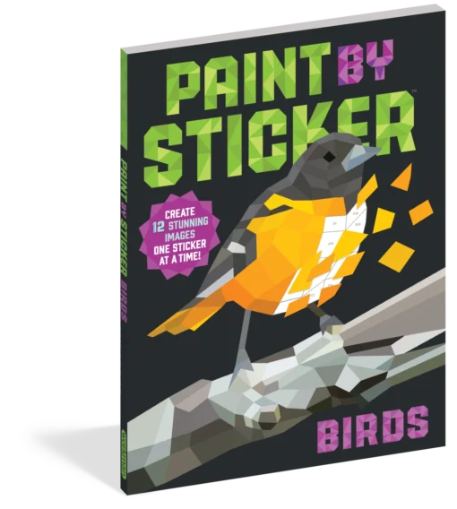 Paint By Sticker: Birds -Best Toy Discount Store WOR100012