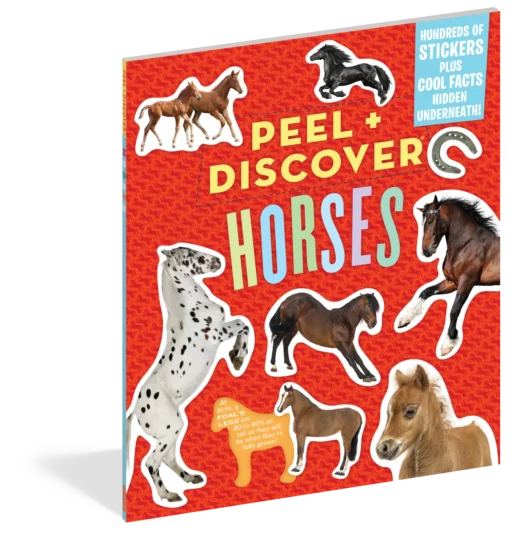 Peel + Discover: Horses -Best Toy Discount Store WOR100360